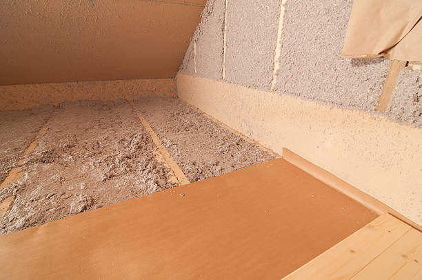 Best Specialized Insulation Services in New Prague, MN