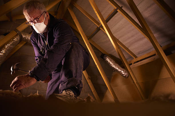 Best Geographic-Specific Insulation Services in New Prague, MN